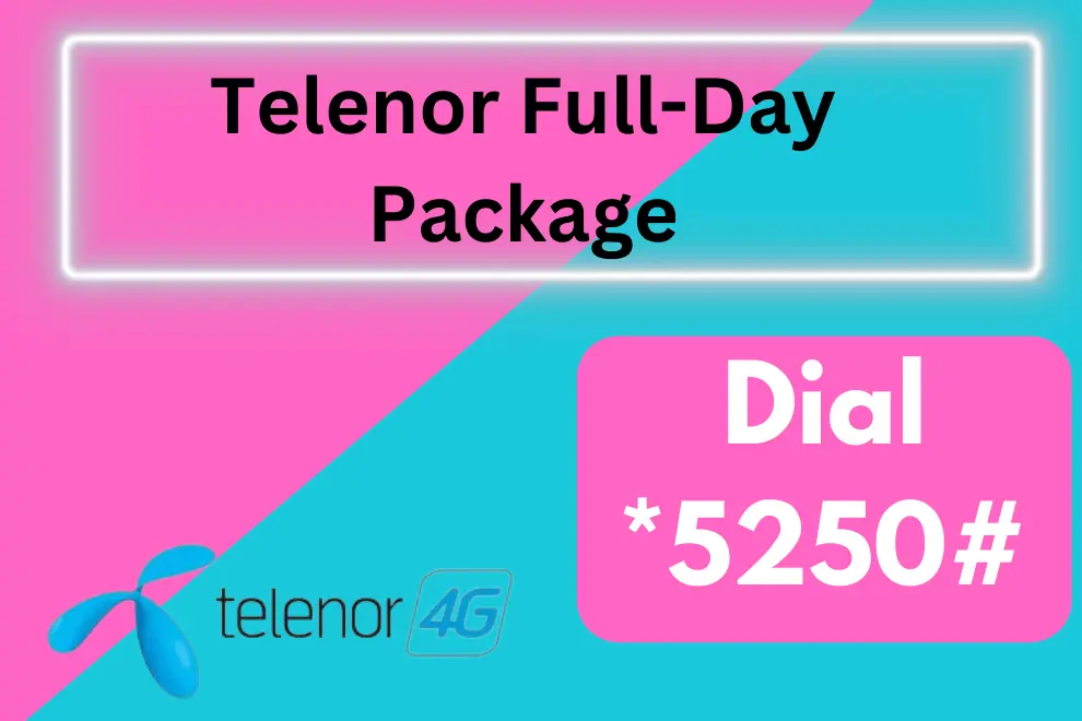 Telenor Full-Day Package